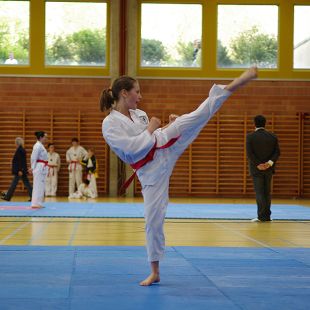 Poomsae SWISS Championship